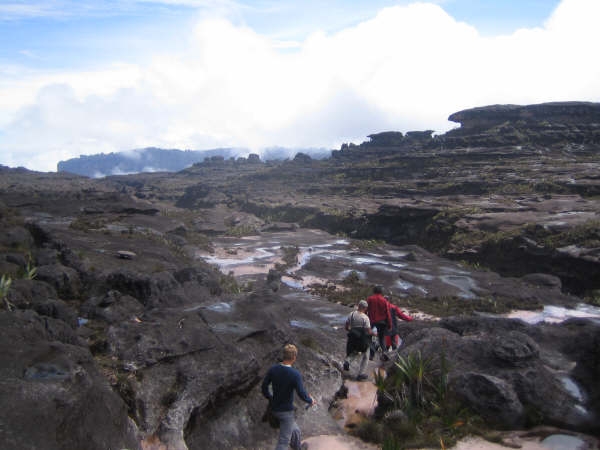 Венесуэла: вершина Рораймы и другие интересные места. Фото.