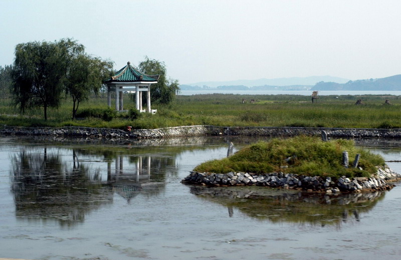 Как Надо Дорожить Родиной (60 лет КНДР)