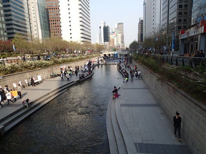 Дорогами корейской сакуры. Сеул, апрель 2015.