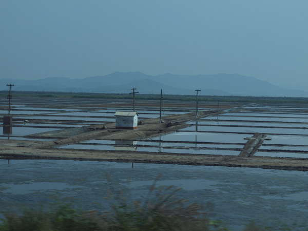 Как Надо Дорожить Родиной (60 лет КНДР)