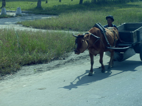 Как Надо Дорожить Родиной (60 лет КНДР)