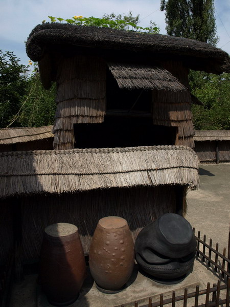 Как Надо Дорожить Родиной (60 лет КНДР)