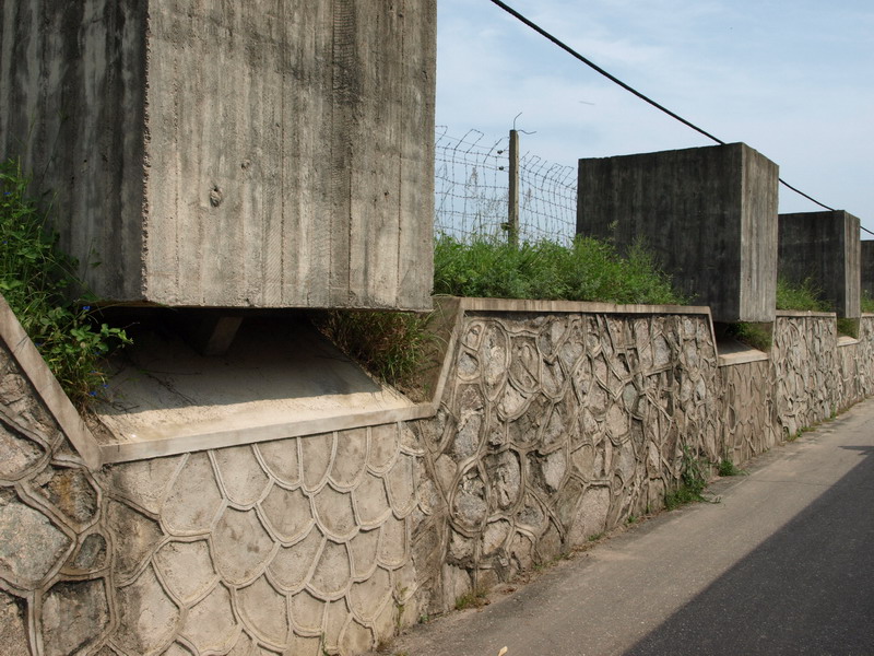 Как Надо Дорожить Родиной (60 лет КНДР)