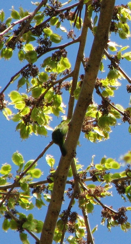 Куба женскими глазами