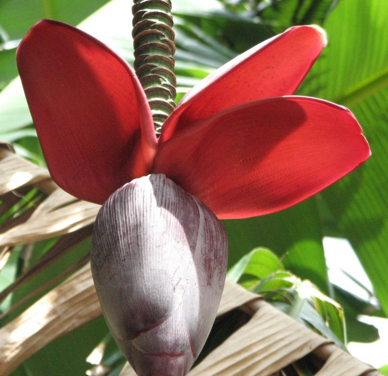 Куба женскими глазами