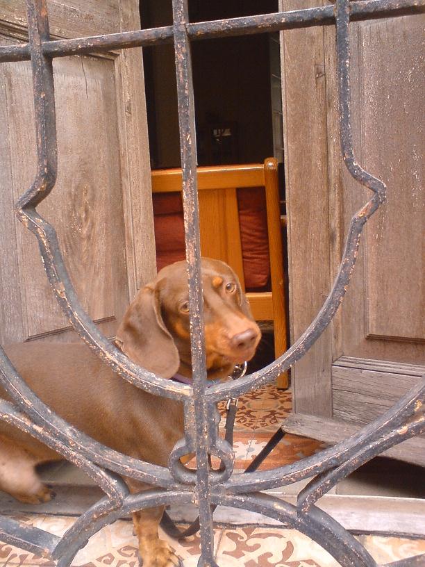 2 рассказа ***