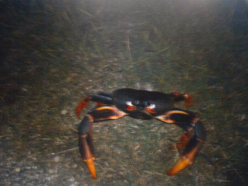 2 рассказа ***