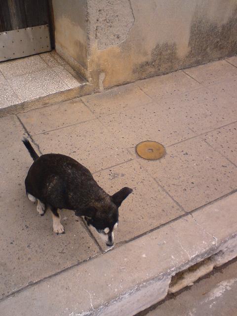 2 рассказа ***