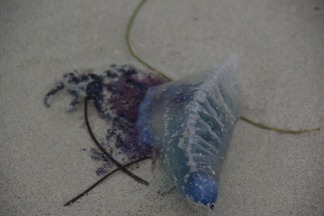 снова на кубе через 30 лет