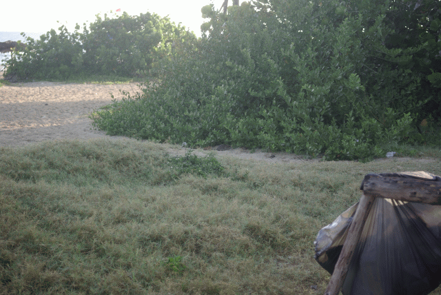 снова на кубе через 30 лет