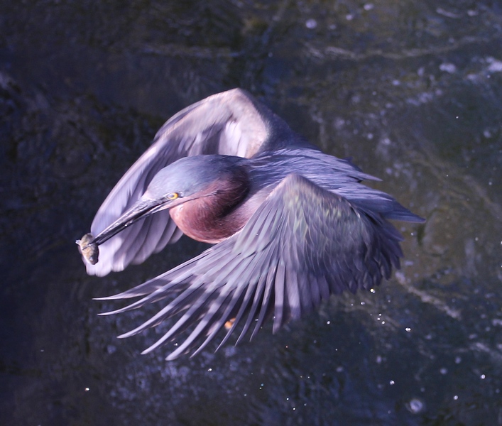 Куба. Отдых с романтическим практицизмом