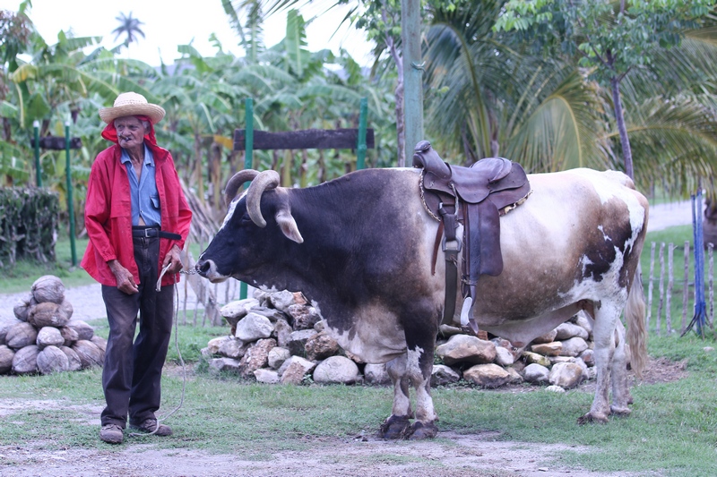Куба. Отдых с романтическим практицизмом