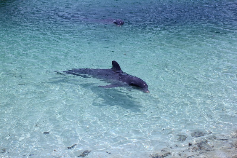 Куба. Отдых с романтическим практицизмом
