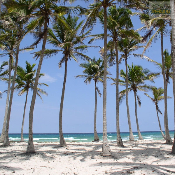 Пляжи на Кубе отзывы