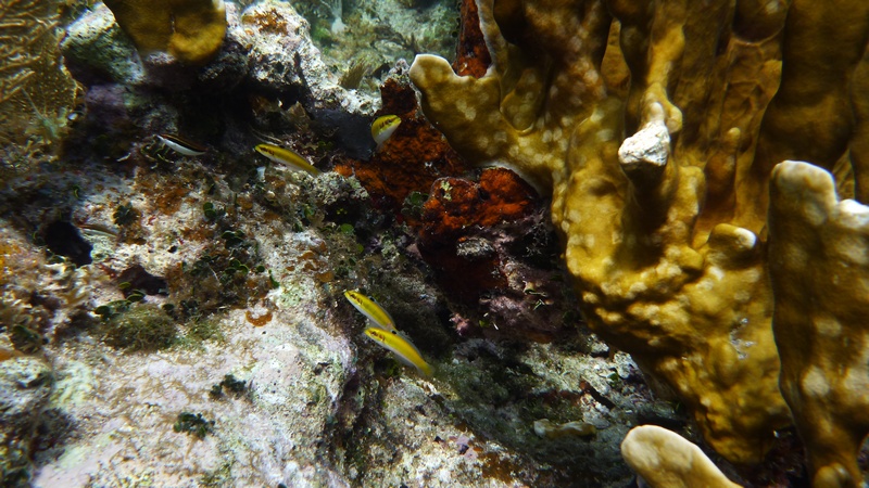 Куба. Отдых с романтическим практицизмом