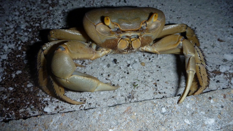 Куба. Отдых с романтическим практицизмом