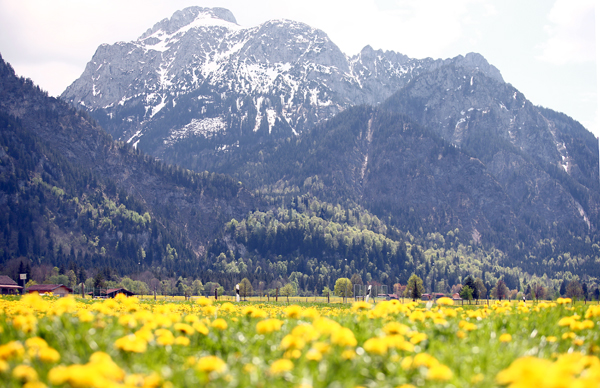 Фотозагадки