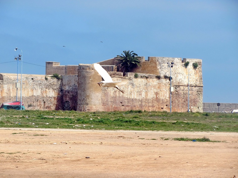 Возвращение на Восток: Марокко без мороки, или страна, которая не напрягает