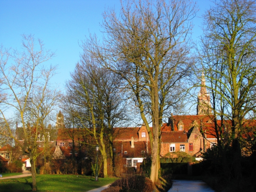 Голландия-Бельгия 1-9 января 2009. Траффик