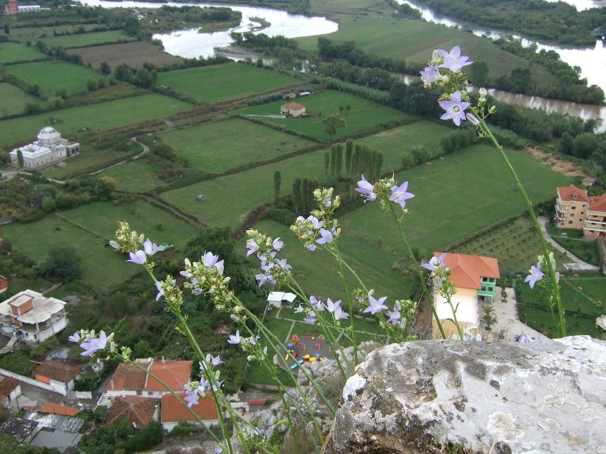 По Албании сверху донизу осенью 2010