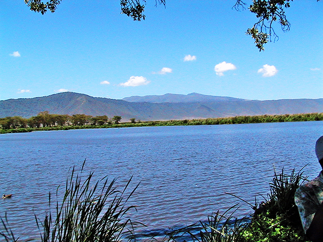 Подъем на Килиманджаро + сафари в сентябре 2009 Подъем на Килиманджаро + сафари в сентябре 2009