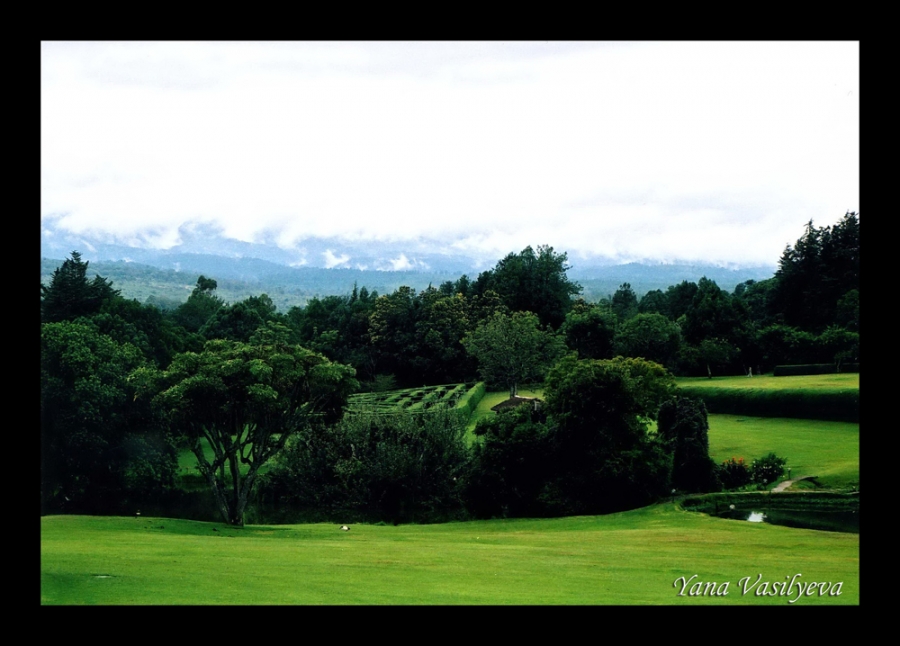 воспоминания о сафари в Кении (фотоотчет)