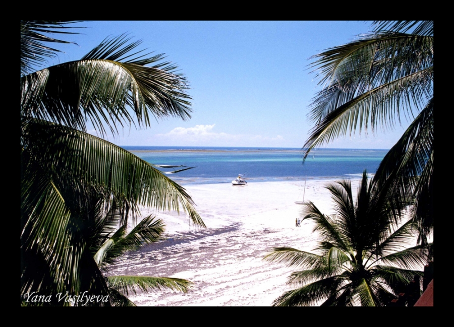 воспоминания о сафари в Кении (фотоотчет)