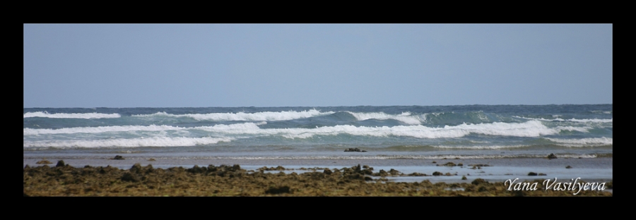 воспоминания о сафари в Кении (фотоотчет)