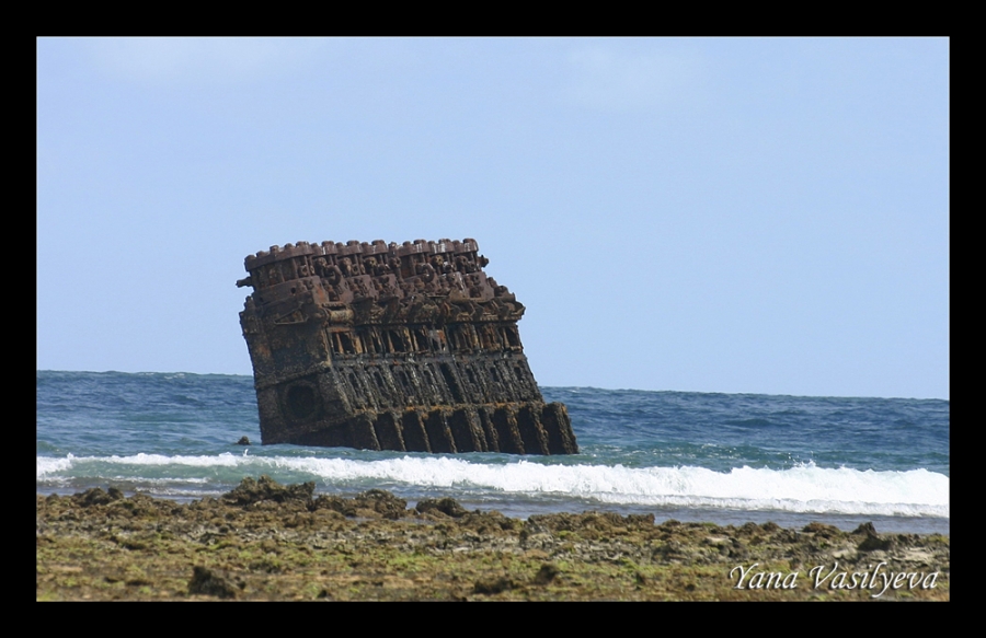 воспоминания о сафари в Кении (фотоотчет)