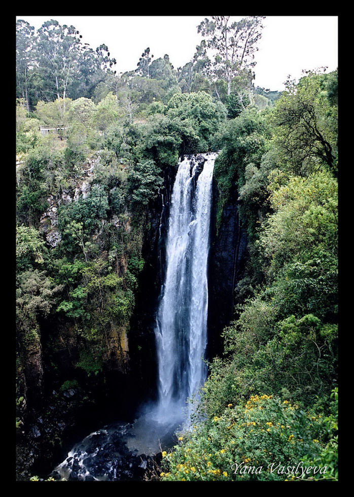 воспоминания о сафари в Кении (фотоотчет)
