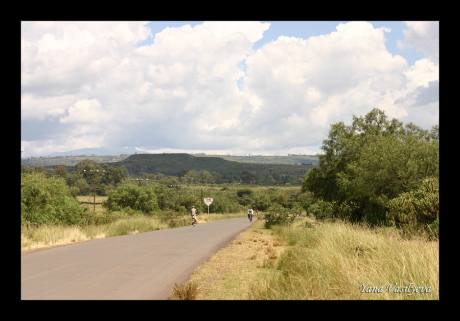 воспоминания о сафари в Кении (фотоотчет)