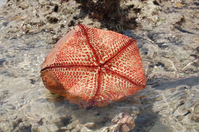 Mayotte туристический