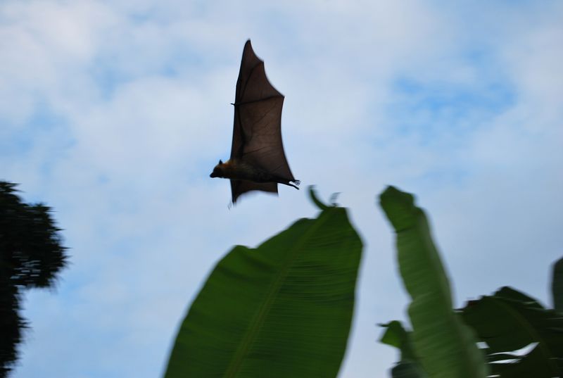 Mayotte туристический