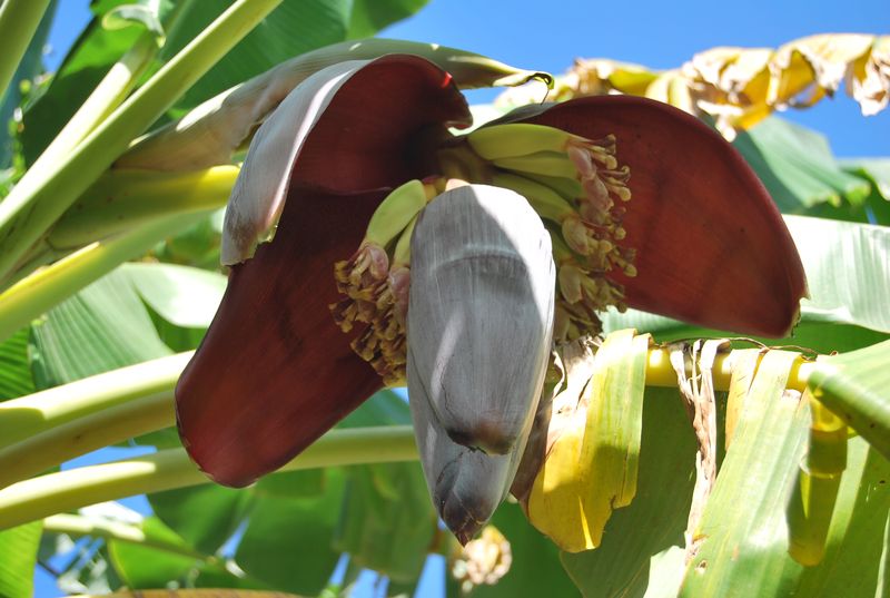 Mayotte туристический