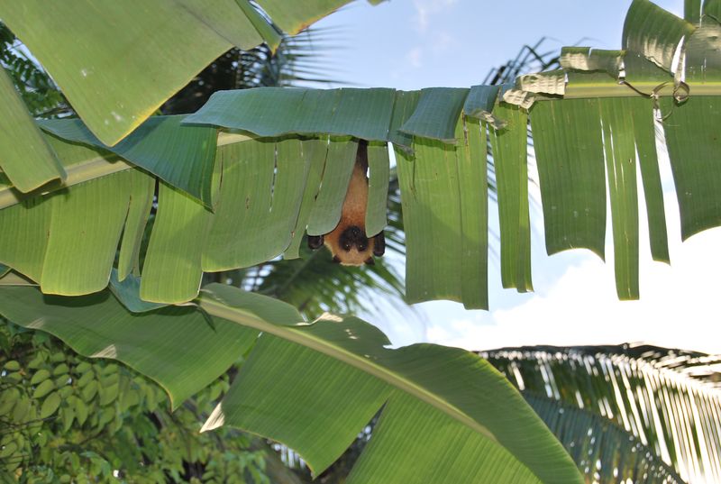 Mayotte туристический