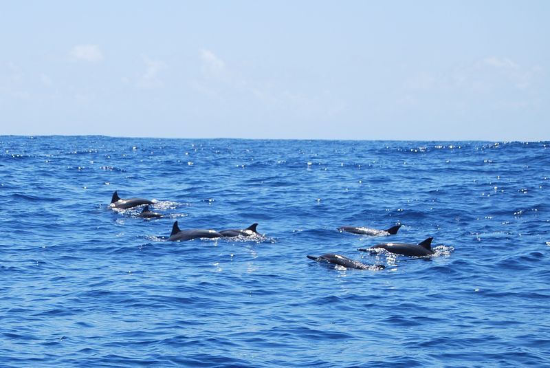 Mayotte туристический