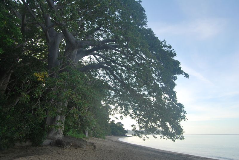 Mayotte туристический