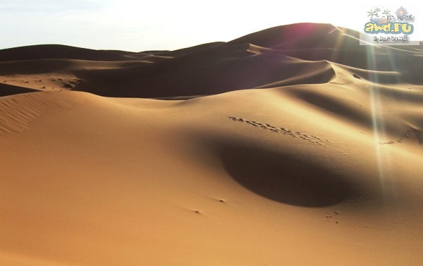 Марокко в цвете (фото)