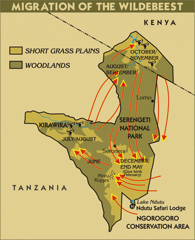 Кения и Танзания вместе или что-то одно?