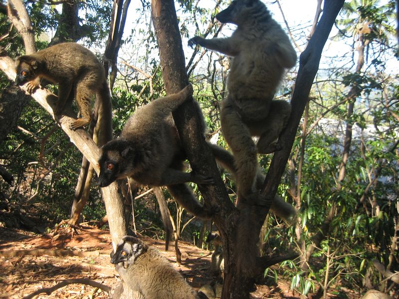 Mayotte туристический