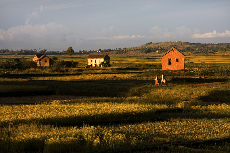 Остров Невезения. Мадагаскар 2009.