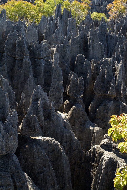 Остров Невезения. Мадагаскар 2009.