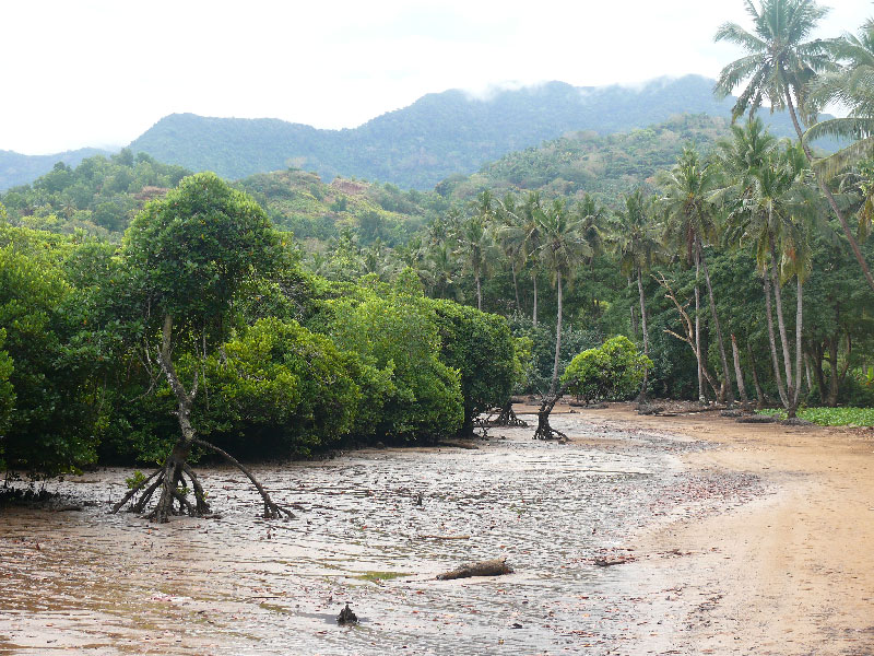 Кения+Танзания+Коморские острова (Grand comoro, Moheli)+Занз