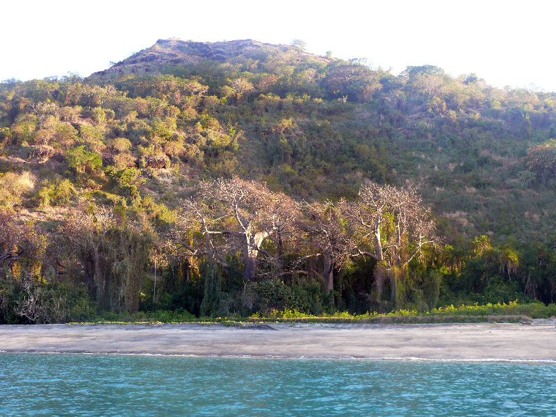 Кения+Танзания+Коморские острова (Grand comoro, Moheli)+Занз