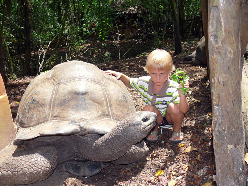 Кения+Танзания+Коморские острова (Grand comoro, Moheli)+Занз
