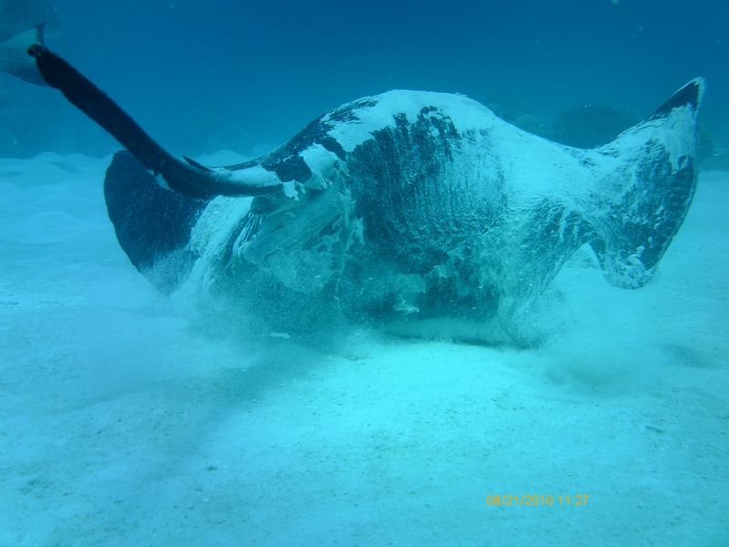 Mayotte туристический