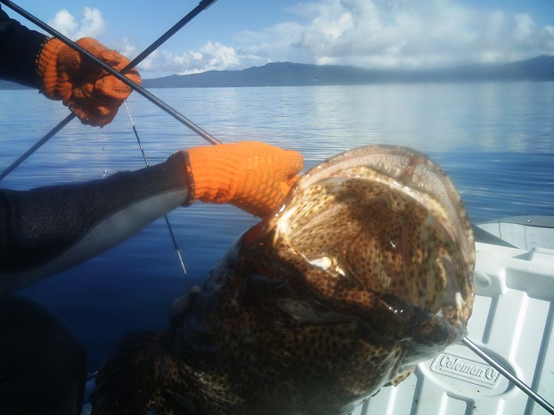 Mayotte туристический