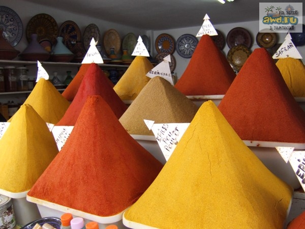 Марокко в цвете (фото)