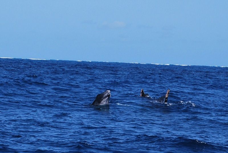 Mayotte туристический