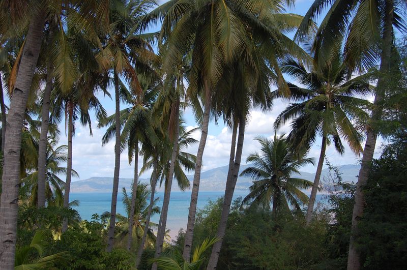 Mayotte туристический